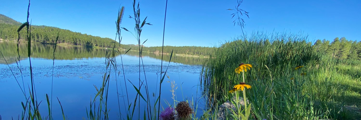 Mrs. Masterson banner