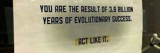 Tantrum Thrower banner