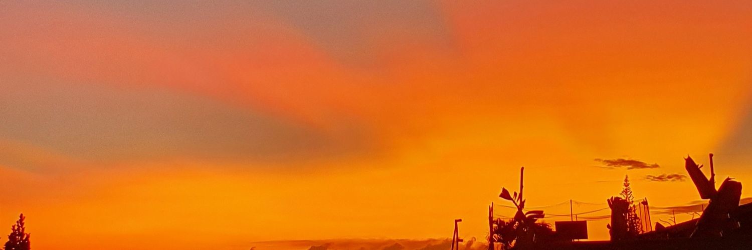maxwilliaans's profile banner image