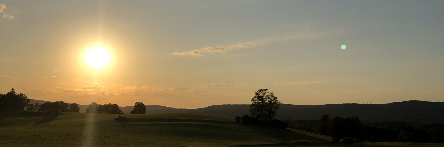 HannahScutieri's profile banner image