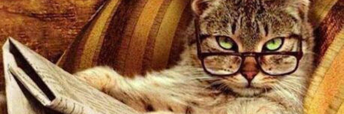 Christian Lecomte banner