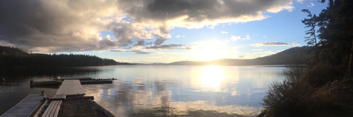 theAmazonian's profile banner image