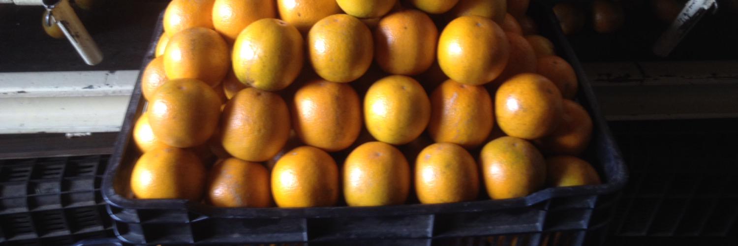 PompaGuti's profile banner image