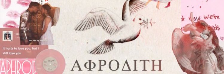 camiladuarteg's profile banner image