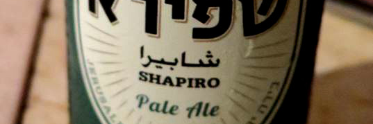 elli_shapiro's profile banner image
