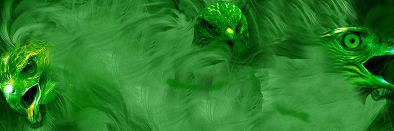Meridian15News's profile banner image