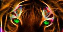 Fenix20014's profile banner image