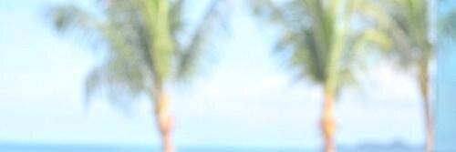 NinaRPGLITM's profile banner image