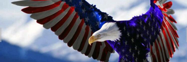 Dmill16's profile banner image