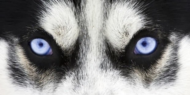 CountOnDee_4's profile banner image