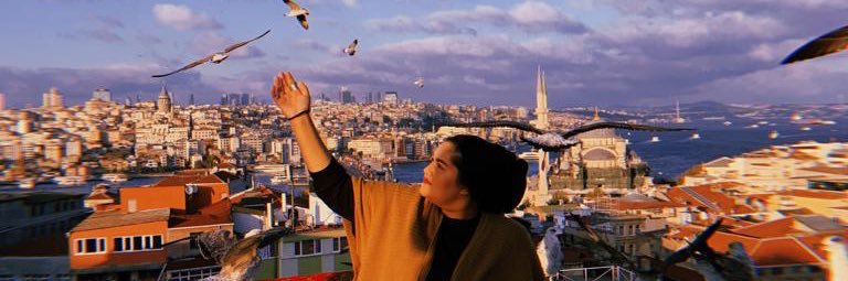 ArfaShahid's profile banner image