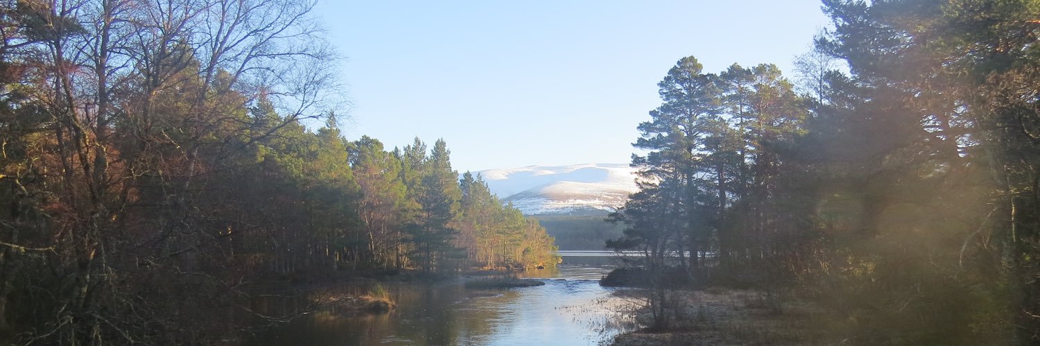 The Barnslou Trio banner