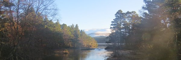 nsloudesign Profile Banner