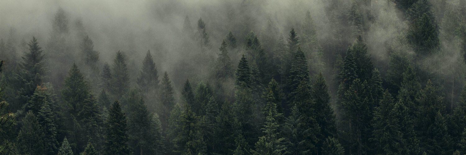 DavidDlaGarza's profile banner image