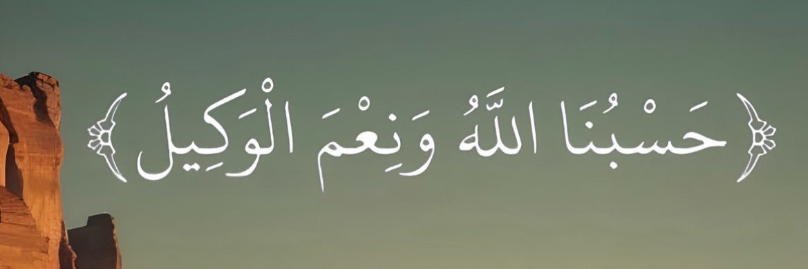 nasser banner