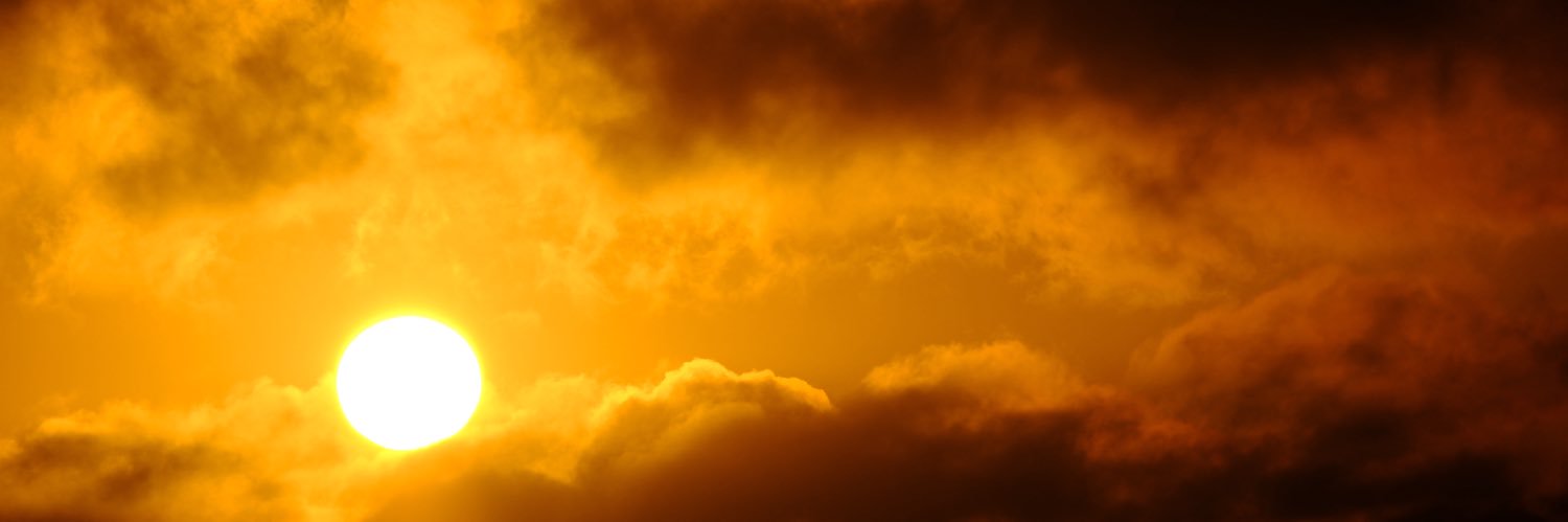 SCTigerBay's profile banner image