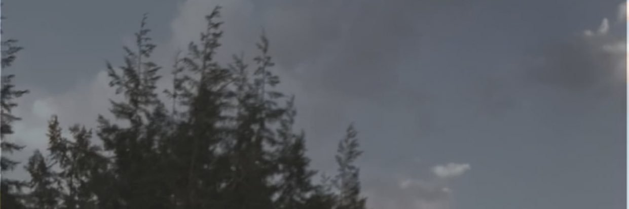 online_1's profile banner image