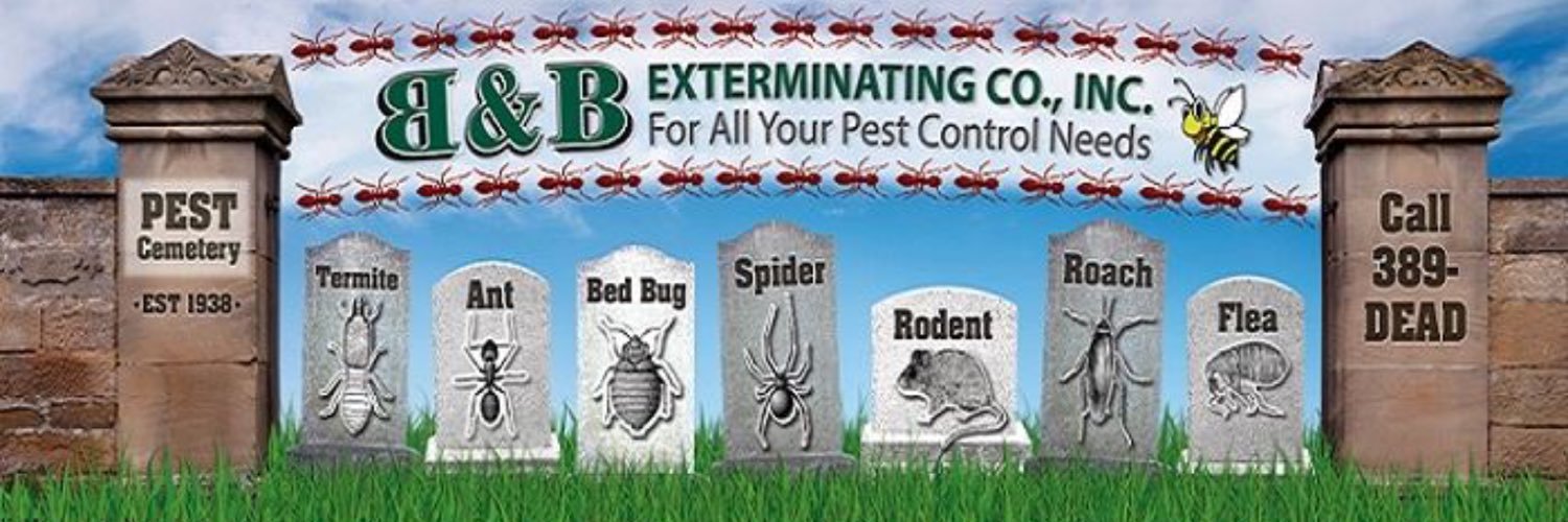 BBExterminating's profile banner image
