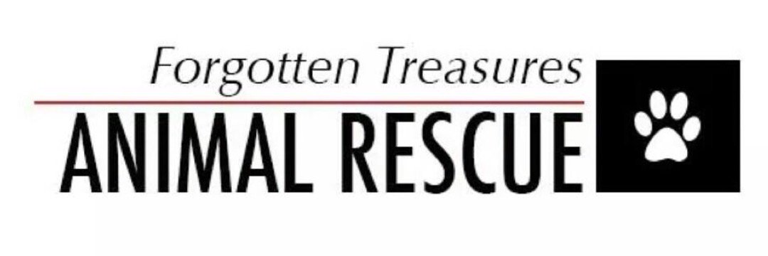 FTAnimalRescue's profile banner image