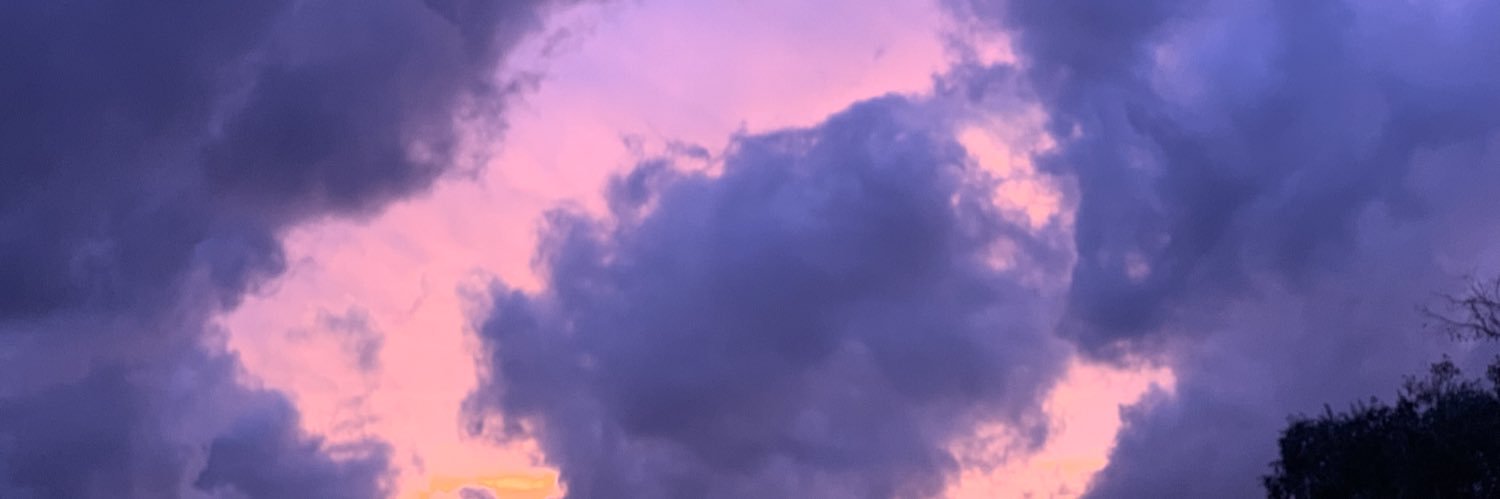 madiraylor's profile banner image