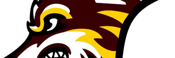 1LHFOOTBALL Profile Banner