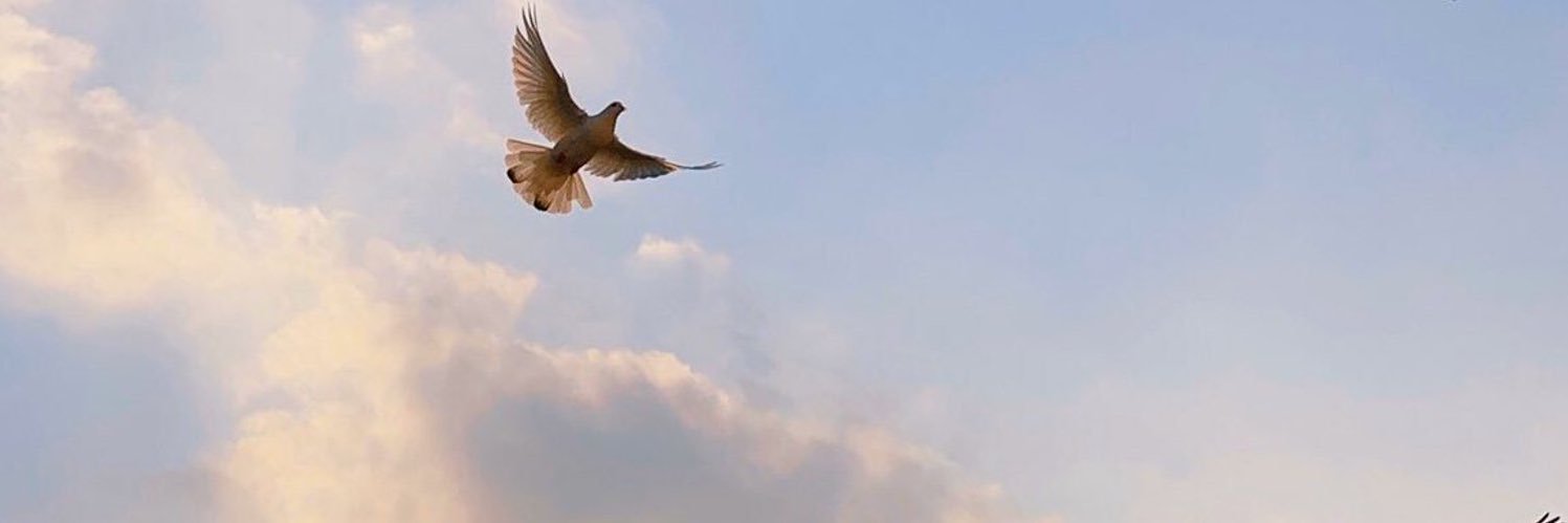 Sa__alrashed's profile banner image
