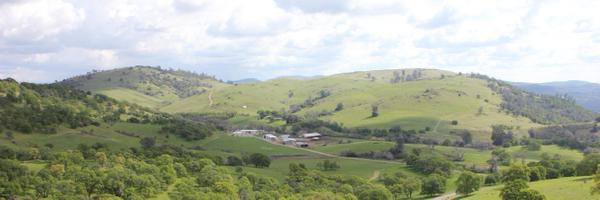 Sierra Foothill Research and Extension Center Profile Banner