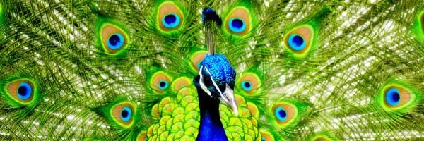Tassja_B's profile banner image