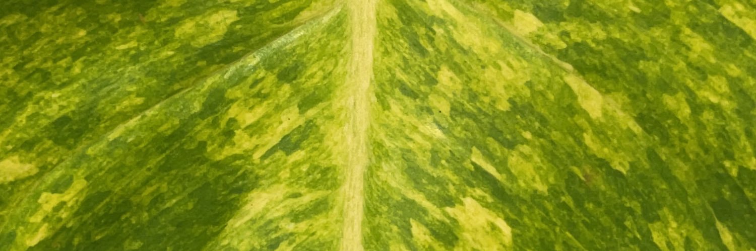 le_brofessor's profile banner image