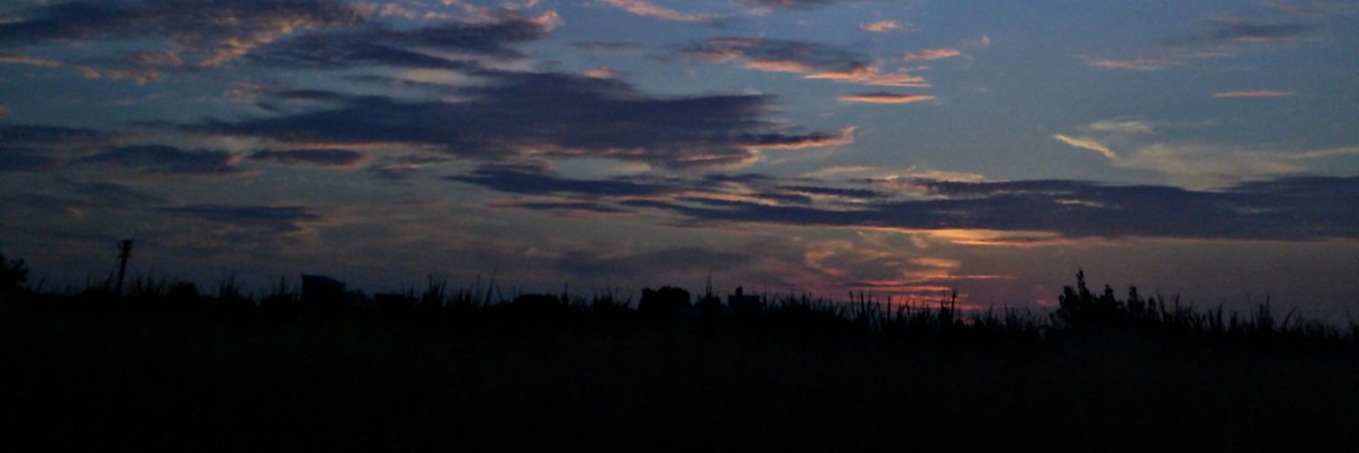 v_m_s_k_'s profile banner image