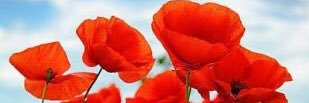 thisisroby's profile banner image