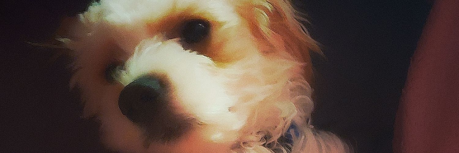 Eric Whiteley banner