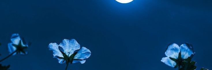 midnightatgabi's profile banner image