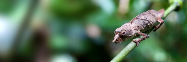 MoabiMaps Profile Banner