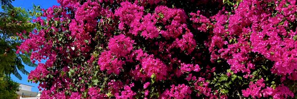 incrxvel Profile Banner