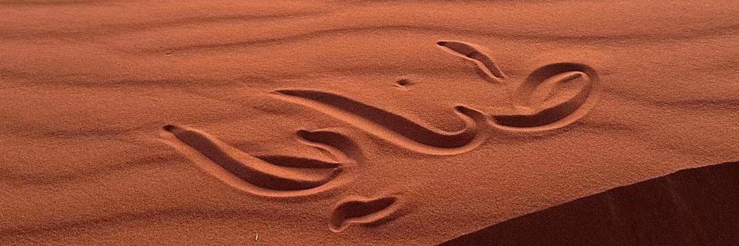 فيحان ✪ banner