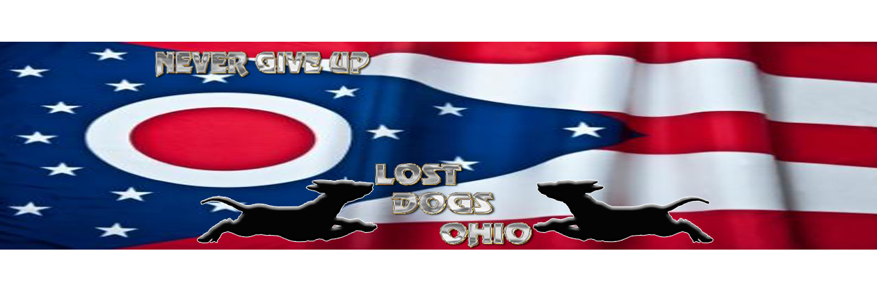 Lost Dogs Ohio banner