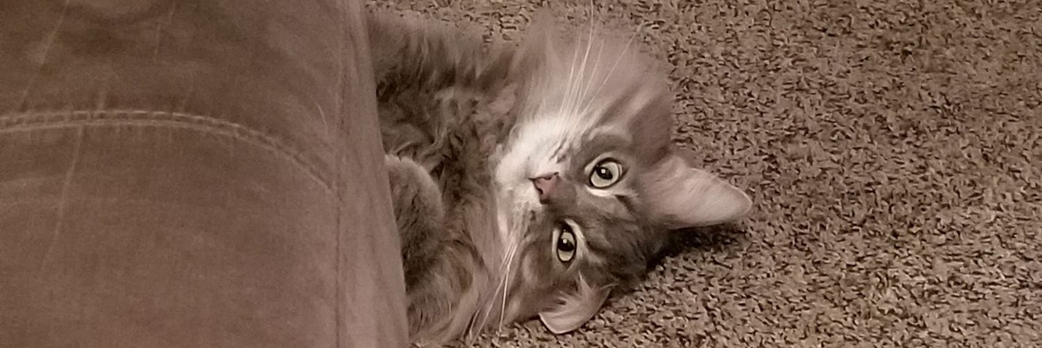 LordlyFace's profile banner image
