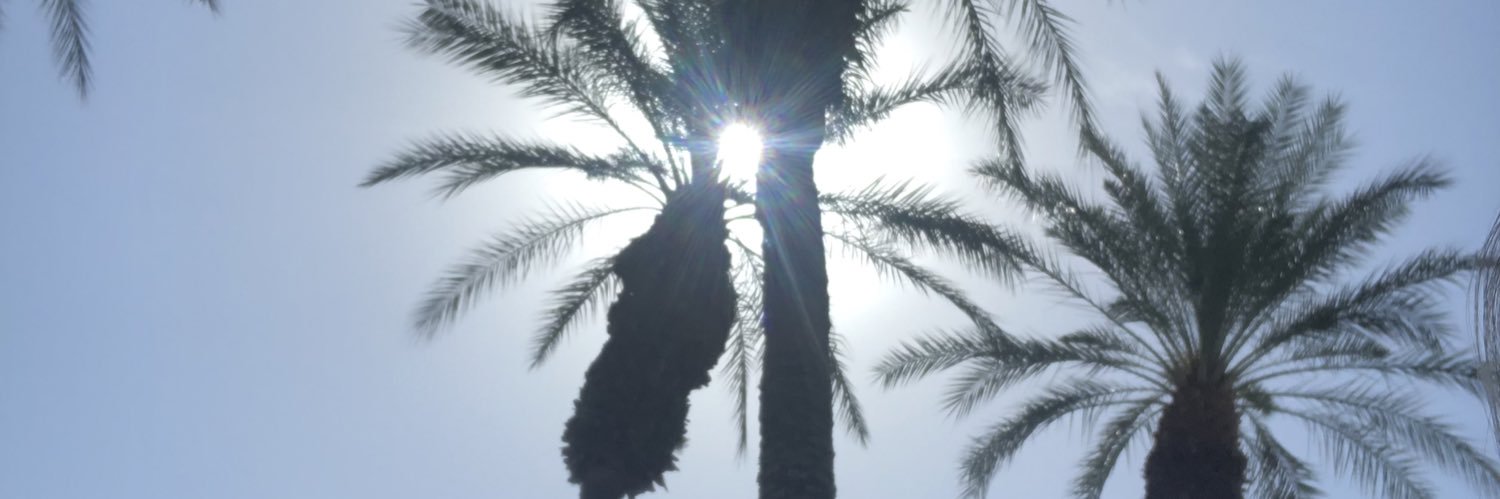 ayyashley's profile banner image