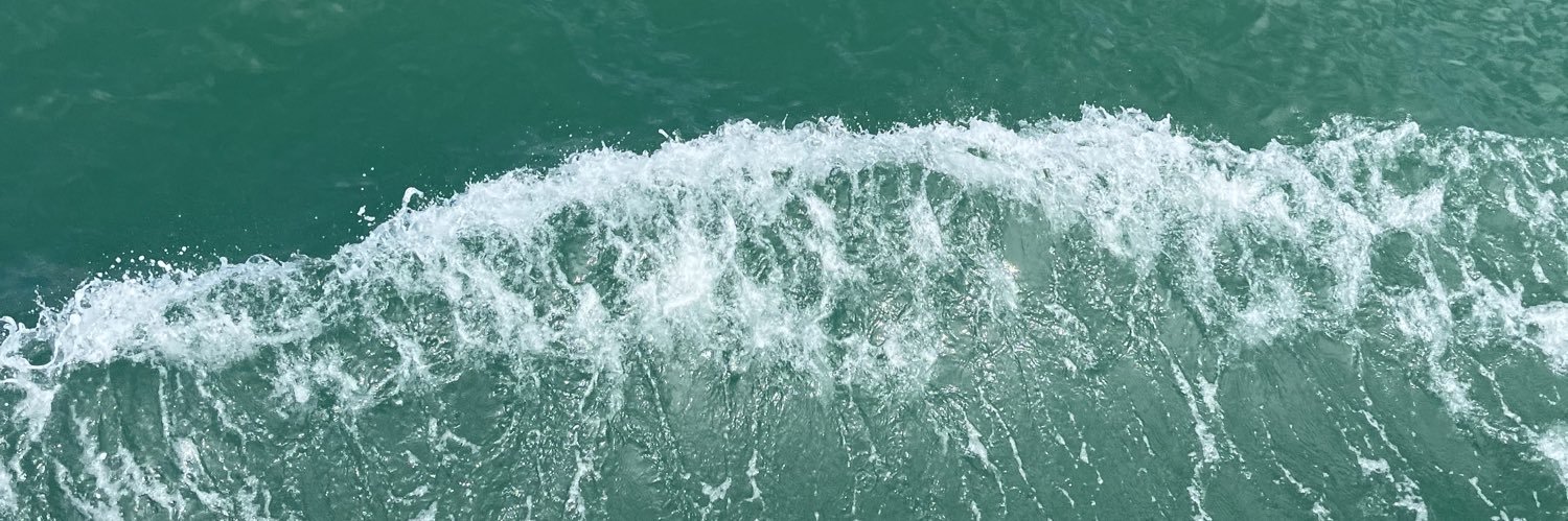 wholenaf's profile banner image