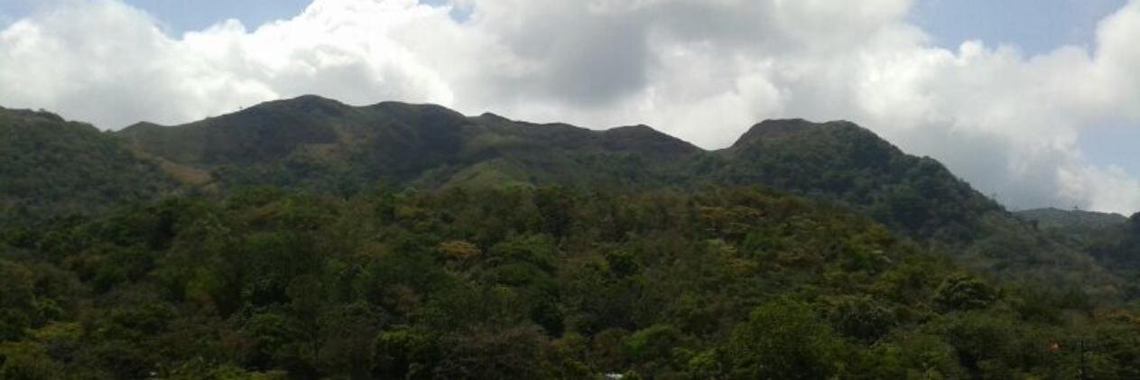 @dj bubu Panamá banner