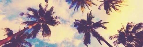 AguustinaRod's profile banner image