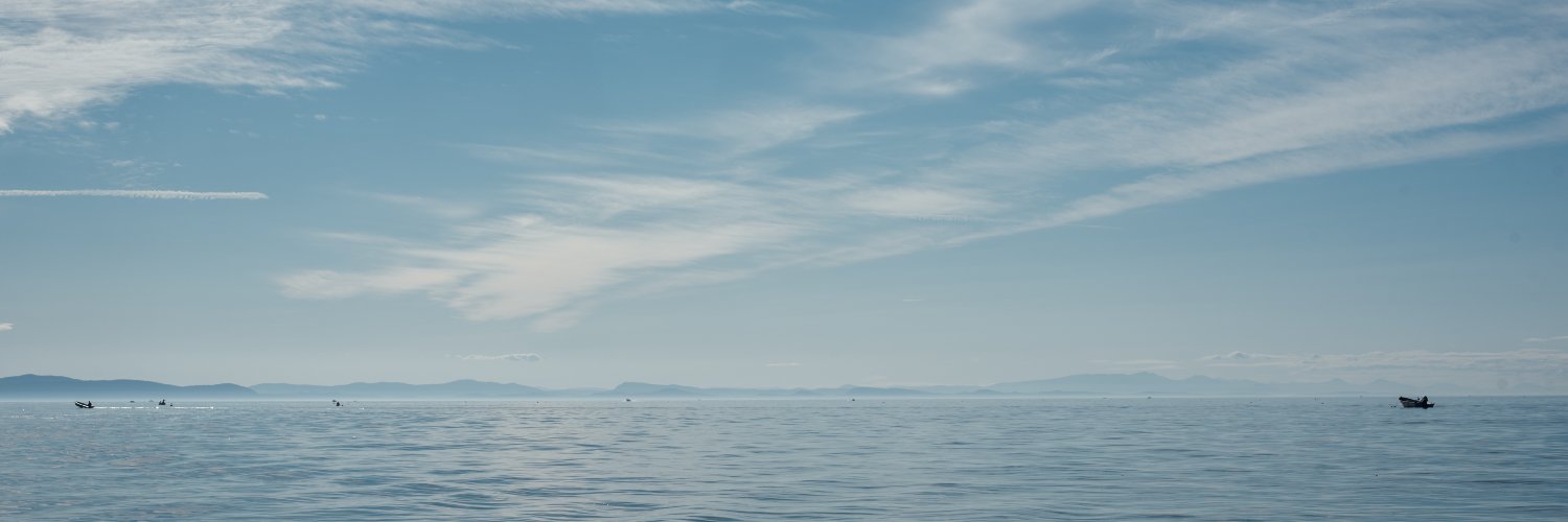 Ash Ngu banner