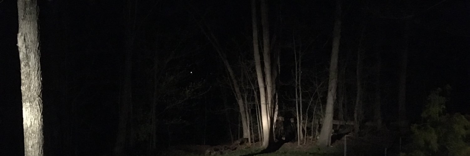 xxabbey12's profile banner image