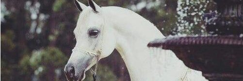 3thmthm1's profile banner image