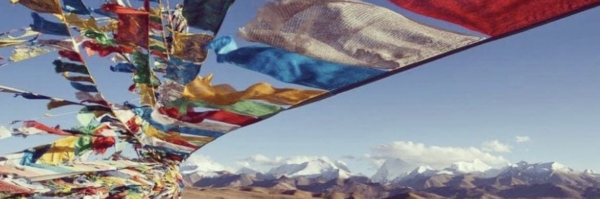 osaludes's profile banner image