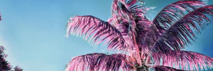 staceyjf's profile banner image