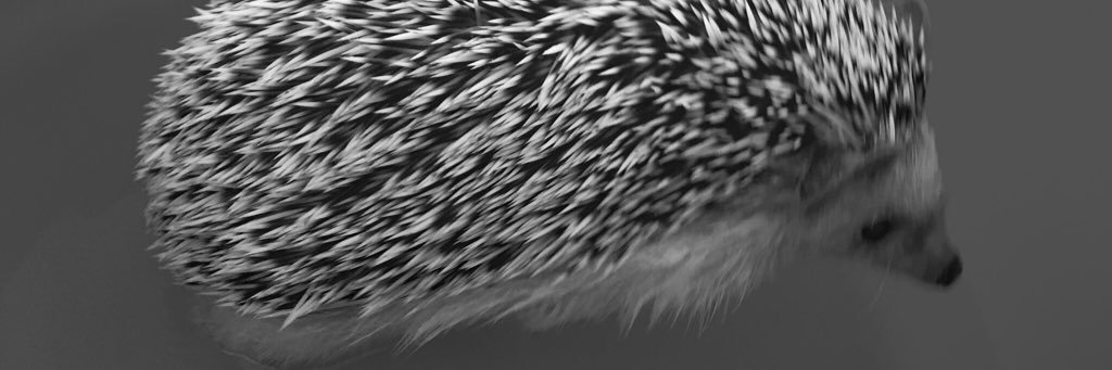 Ruben_DHA's profile banner image
