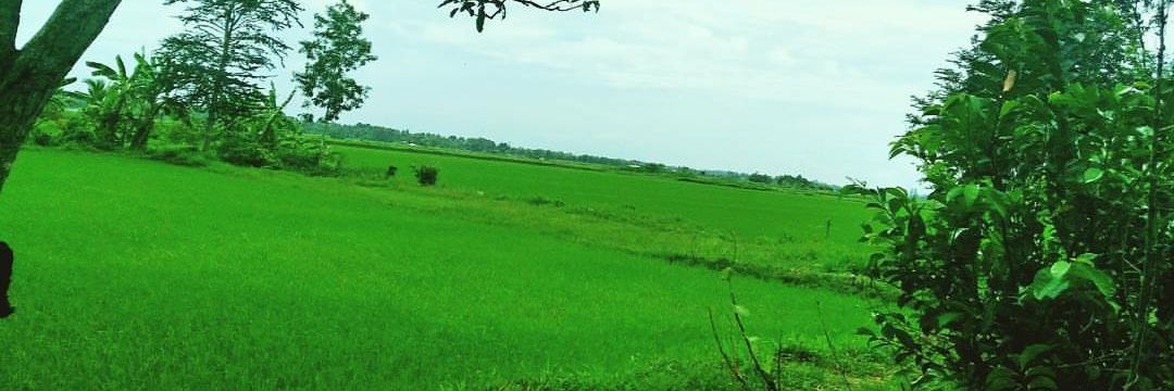 NgHong5's profile banner image