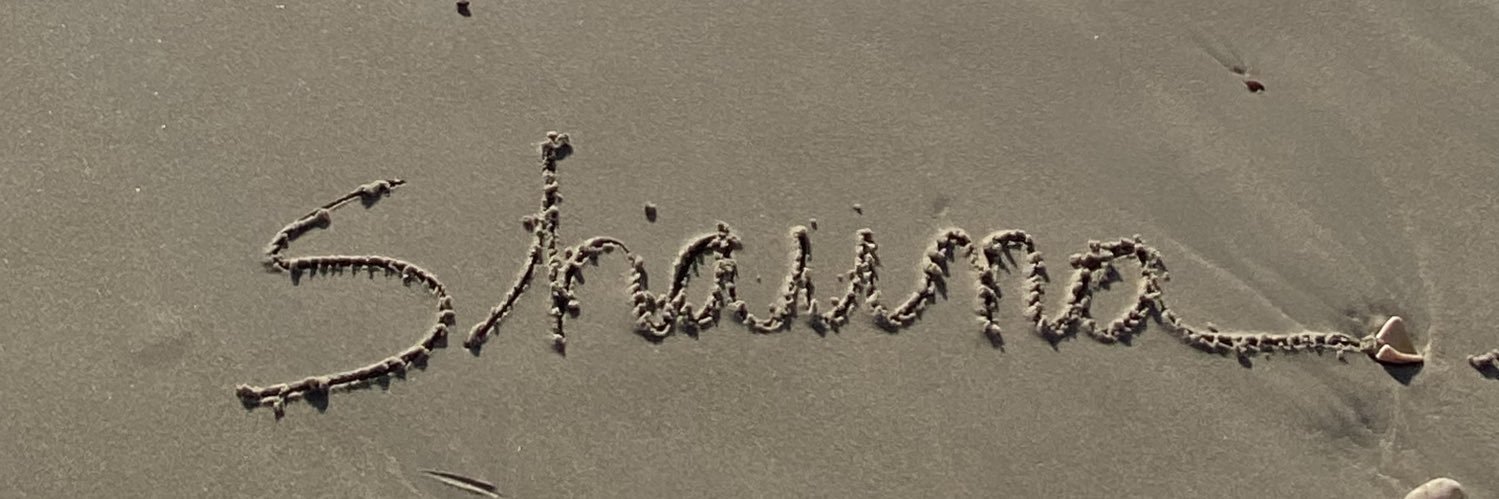 shawnalew's profile banner image